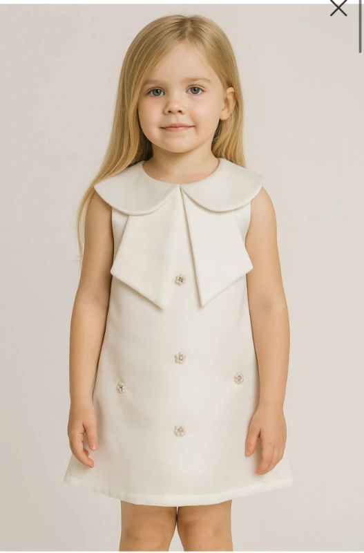 Yakası fiyonklu elbise 